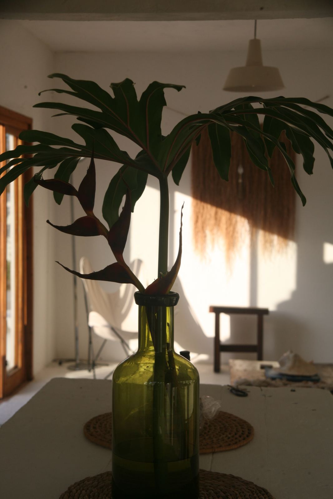 Sala com planta tropical em vaso de vidro verde