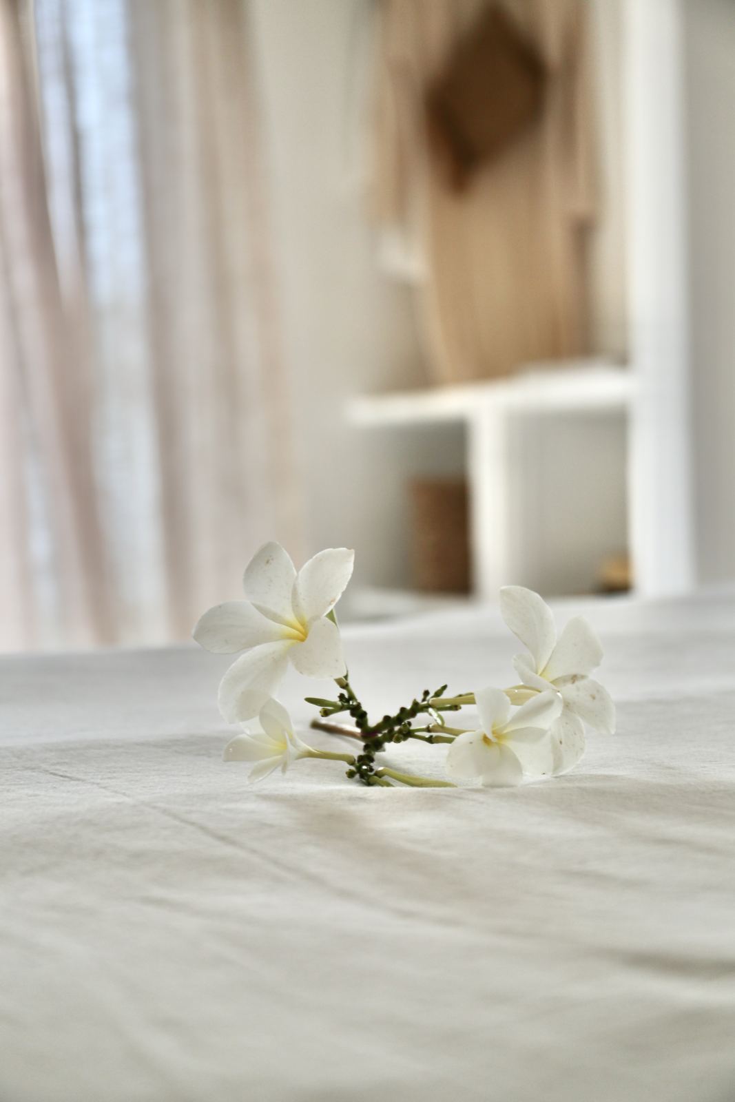 Flores de jasmim-manga sobre a cama